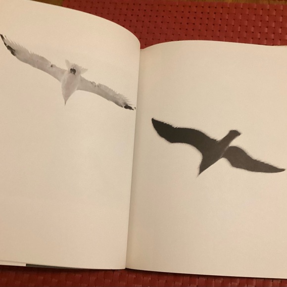 Jonathan Livingston Seagull 1970 Book - Picture 9 of 11